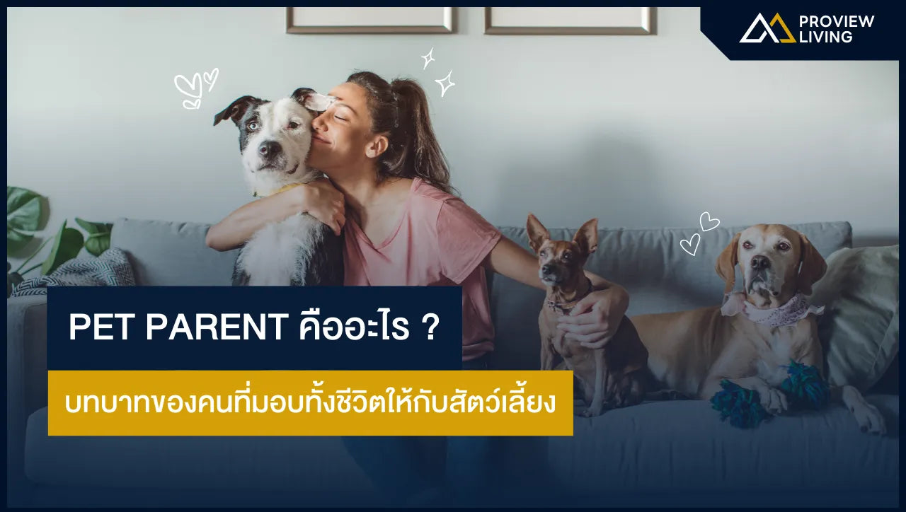 Pet Parent คือ? บทบาทของคนที่มอบทั้งชีวิตให้กับสัตว์เลี้ยง