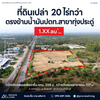 Urgent sale: 20 rai land in Prachuap Khiri Khan, opposite PTT Thap Sakae. Price 1.XX million baht/rai.