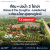 Urgent Sale: Land adjacent to Khlong Chaiya Canal, Surat Thani, 3 rai 3 ngan 81.0 square wah, only 780,000 THB.