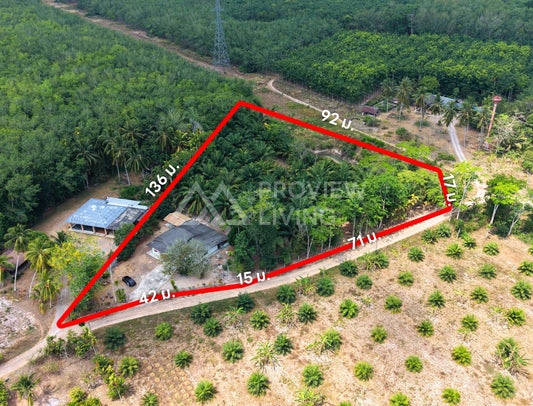 ขายที่ดินพร้อมสิ่งปลูกสร้าง ใกล้สนามบินสุราษฎร์ธานี @มะลวน ใกล้ราคา 2.XX ลบ