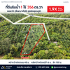 ขายที่ดินริมน้ำ 1 ไร่ 356 ตร.วา ซอยตาไท ( สี่แยกบางใบไม้ ) @เมืองสุราษฎร์ ราคา 1.9X ล้านบาท