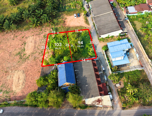 ขายที่ดินสุราษฎร์ธานี 94-103 ตร.ว. ซอยปทุมพร 2 ใกล้โรงพยาบาล ราคา 1.5 ล้าน