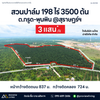 Palm oil plantation for sale, Grut Subdistrict, Phunphin, Surat Thani. 198 rai, 3,500 trees. Income 4 million per year.