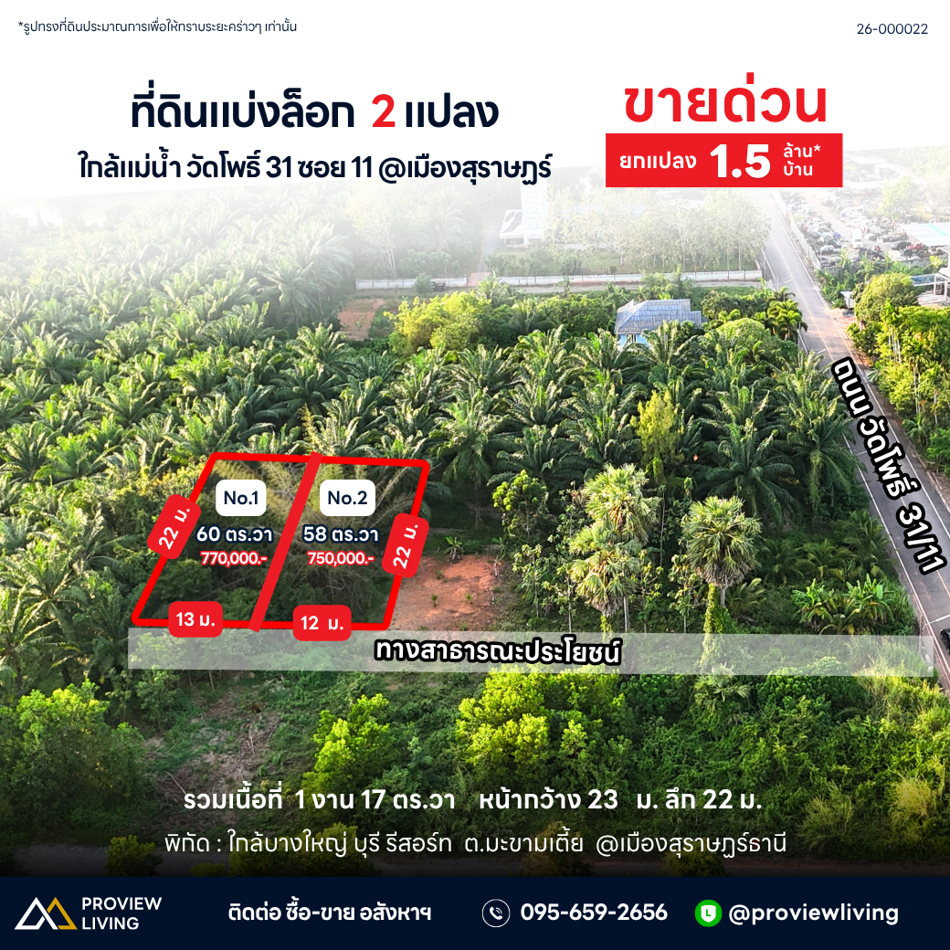 ขายด่วน ที่ดินแบ่งล็อก สุราษฎร์ธานี ขนาดเริ่มต้น 57.7 ตร.วา พิกัด วัดโพธิ์ 31 ซอย 11 ราคาเพียง 7.X แสนบาทต่อแปลง