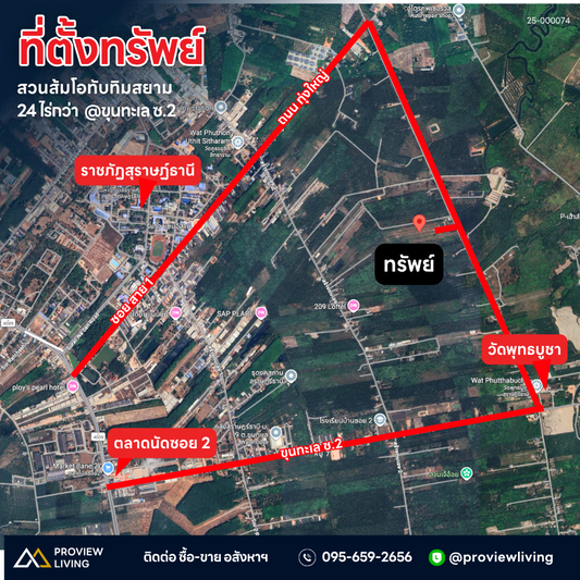 26-000074 สวนส้มโอ + หมาก 24 ไร่กว่า @ขุนทะเล ซ.2