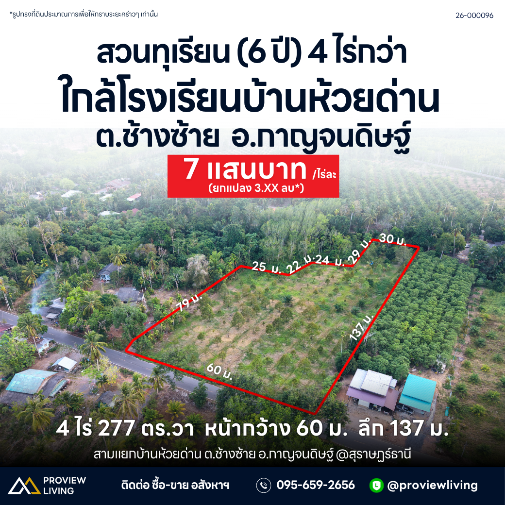ขายสวนทุเรียน กาญจนดิษฐ์ สุราษฎร์ธานี | 4 ไร่ 2 งาน 77.4 ตร.วา ใกล้โรงเรียนบ้านห้วยด่าน
