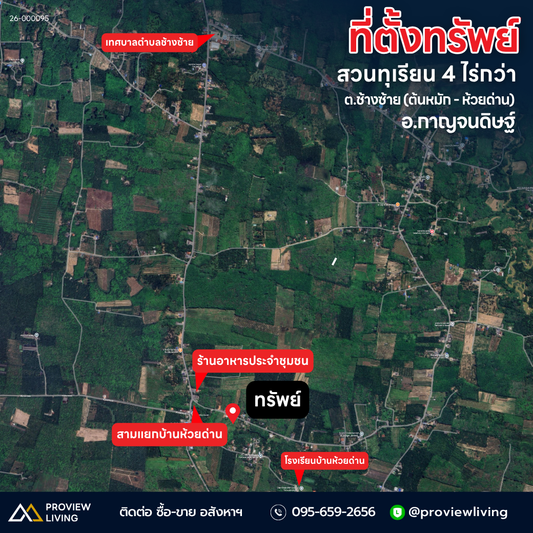 ขายสวนทุเรียน กาญจนดิษฐ์ สุราษฎร์ธานี | 4 ไร่ 2 งาน 77.4 ตร.วา ใกล้โรงเรียนบ้านห้วยด่าน