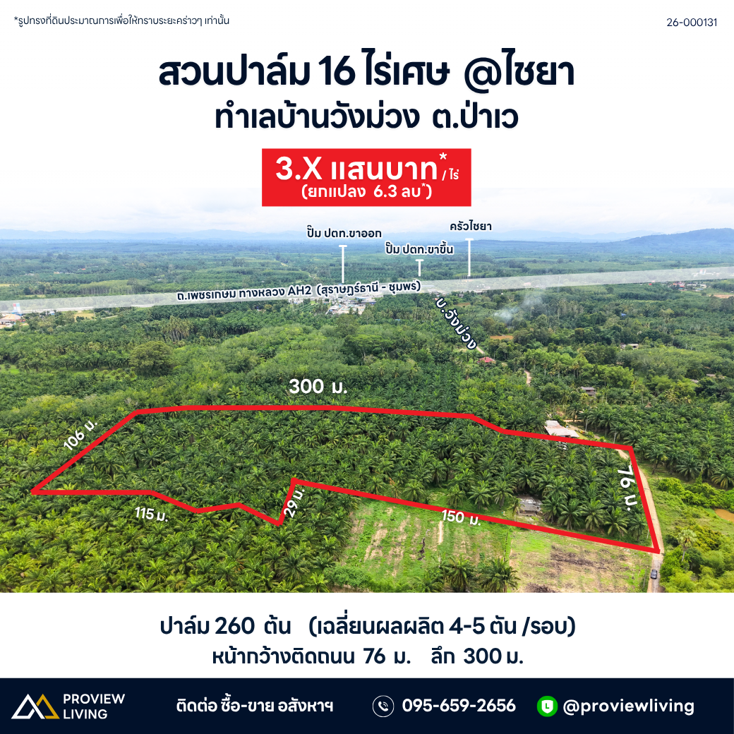 Oil palm plantation for sale, 6 rai @ Bang Baimai Intersection, price 2.XX MB / rai