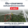 Urgent Sale: Land in Surat Thani with a rubber plantation, 450 m opposite Chaiya Highway Police Station. Only 600,000 baht per rai!!