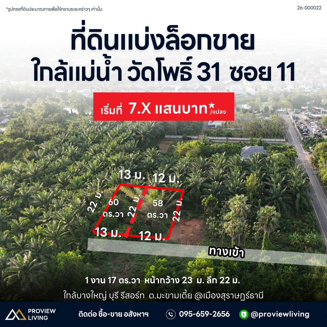 Urgent sale: divided land plots in Surat Thani, starting size 57.7 sq. wa. Location: Wat Pho 31 Soi 11. Price only 7.X hundred thousand baht per plot.