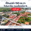 ที่ดินเปล่า 150 ตร.วา ใกล้เมกาโฮม ถนน เลี่ยงเมือง 16 หน้ากว้าง 11 เมตร ราคา 2.2X ล้านบาท สุราษฎร์ธานี