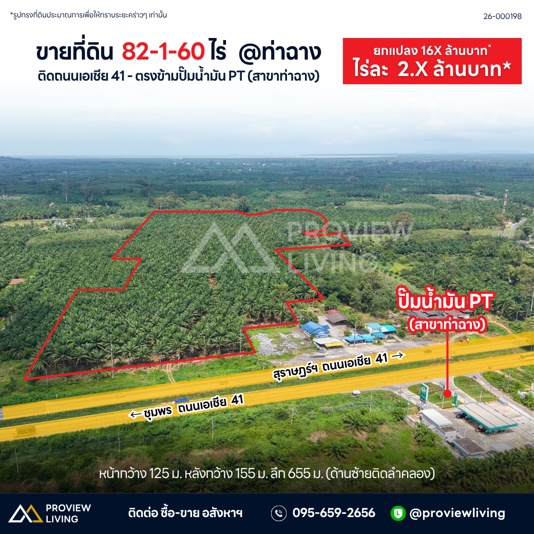 Oil palm plantation for sale, 6 rai @ Bang Baimai Intersection, price 2.XX MB / rai