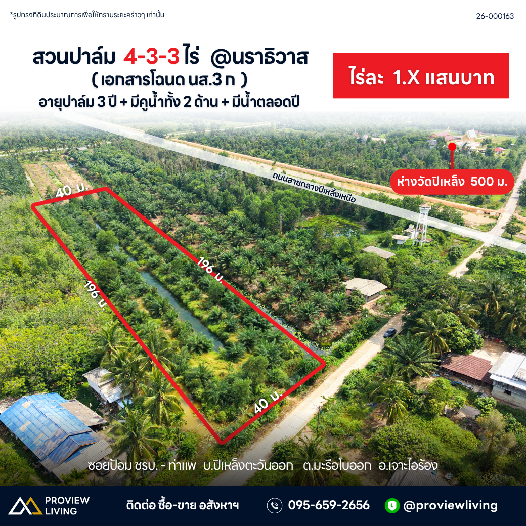 ขายสวนปาล์ม 5 ไร่ @นราธิวาส อายุปาล์ม 3 ปี + มีคูน้ำทั้ง 2 ด้าน + มีน้ำตลอดปี ไร่ละ 1.X แสนบาท