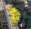 Oil palm plantation for sale, 6 rai @ Bang Baimai Intersection, price 2.XX MB / rai