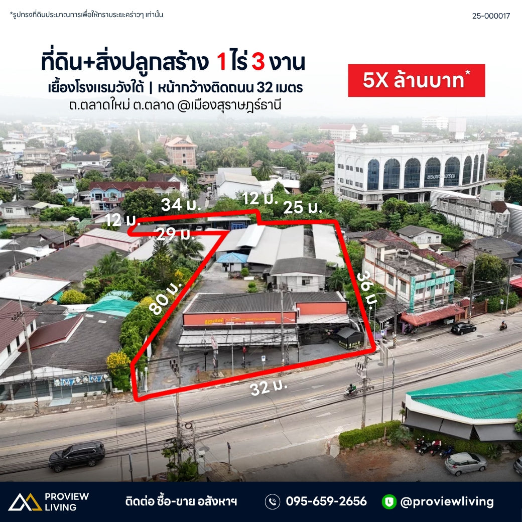 ที่ดิน + สิ่งปลูกสร้าง 1 ไร่ 3 งาน 94 ตารางวา ถนนตลาดใหม่ เยื้องๆโรงแรมวังใต้ สุราษฎร์ธานี