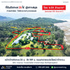 Oil palm plantation for sale, 6 rai @ Bang Baimai Intersection, price 2.XX MB / rai