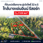 ที่ดินแบ่งล็อกขาย @วัดโพธิ์ 32 ซอย 5 ใกล้นางแอ่นอินน์ รีสอร์ท ยกแปลง 7.XX ลบ.