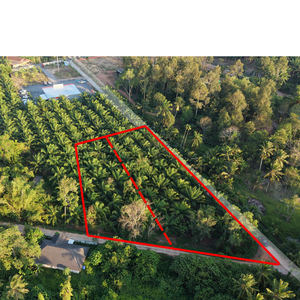 ที่ดินแบ่งล็อกขาย @วัดโพธิ์ 32 ซอย 5 ใกล้นางแอ่นอินน์ รีสอร์ท ยกแปลง 7.XX ลบ.