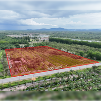 25 rai of undeveloped land, 2 plots, 12 meters frontage on the main road, Phumriang, Chaiya, Surat Thani