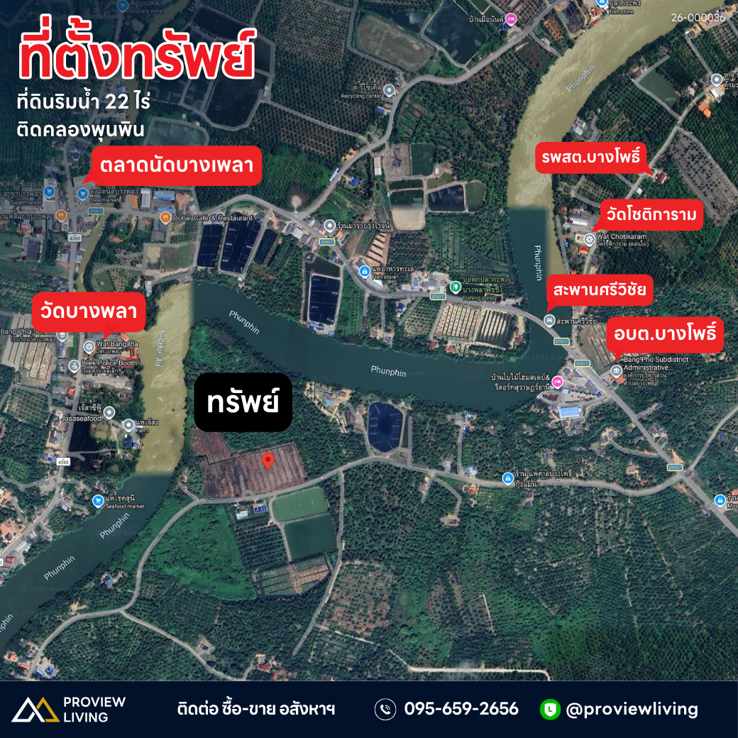 [ขายด่วน] ที่ดินริมแม่น้ำ เนื้อที่ 21 ไร่ 3 งาน 80.0 ตารางวา @บางโพธิ์ สุราษฎร์ธานี