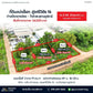 [For Sale] BS-08 Land plots for sale, 3 plots available, starting from 2.43 million baht. Suitable for housing development, Srivichai 16, BS-08, Surat Thani.
