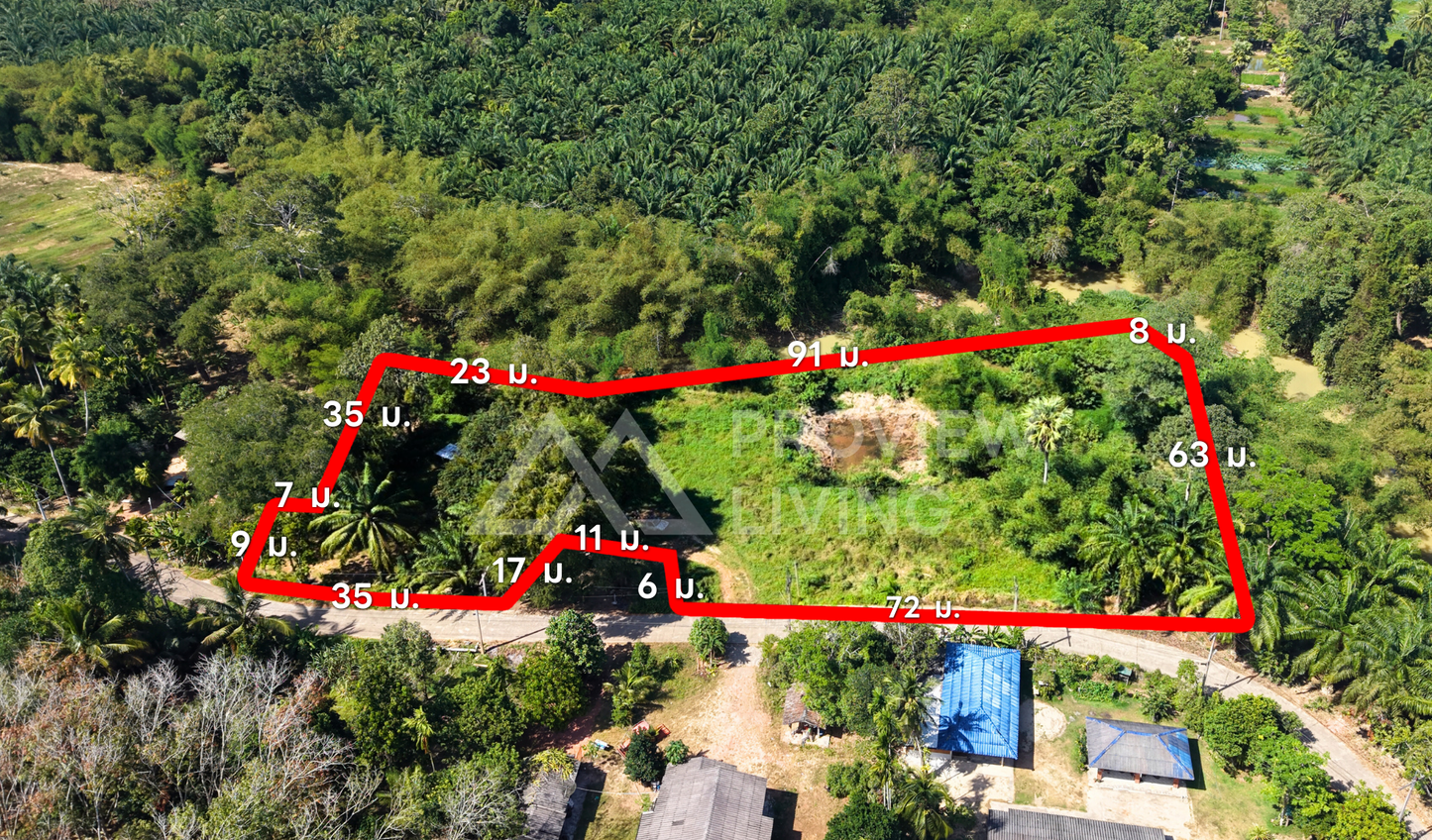 [ขายด่วน] ที่ดินริมน้ำ ติดคลองไชยา 3 ไร่ 2 งาน 59 ตารางวา ราคา 1.XX ลบ | เหมาะสร้างบ้านสวน