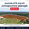 [Sold Out] ที่ดินสวนปาล์ม 41 ไร่ ปาล์ม 800 ต้น อายุ 4 ปี @ปากฉลุย อ.ท่าฉาง