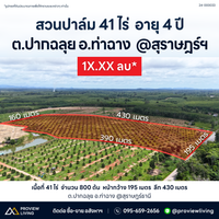 [Sold Out] ที่ดินสวนปาล์ม 41 ไร่ ปาล์ม 800 ต้น อายุ 4 ปี ปากฉลุย อ.ท่าฉาง สุราษฎร์ธานี