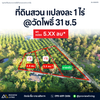 Land for sale (divided plots), Surat Thani, Wat Pho 32, Soi 5, near Nang Aen Inn Resort