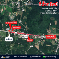 Oil palm plantation for sale, 6 rai @ Bang Baimai Intersection, price 2.XX MB / rai