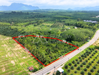 Oil palm plantation for sale, 6 rai @ Bang Baimai Intersection, price 2.XX MB / rai