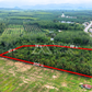 Oil palm plantation for sale, 6 rai @ Bang Baimai Intersection, price 2.XX MB / rai