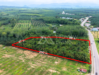 Oil palm plantation for sale, 6 rai @ Bang Baimai Intersection, price 2.XX MB / rai