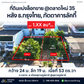 ที่ดินแบ่งล็อกขาย @ตลาดใหม่ 35 หลัง ธ.กรุงไทย, ภัตตาคารลัคกี้