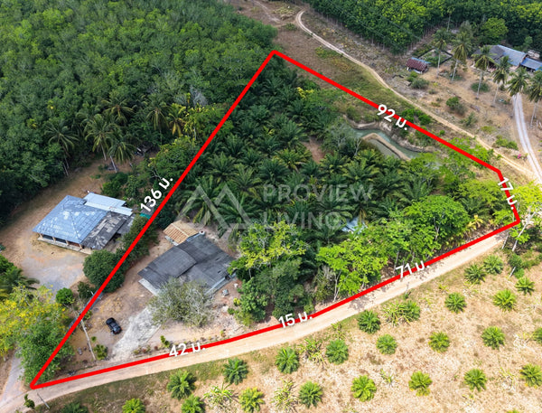 [SOLD] Land with building near Surat Thani Airport, Maluan, Phunphin, 3 beds, 2 baths