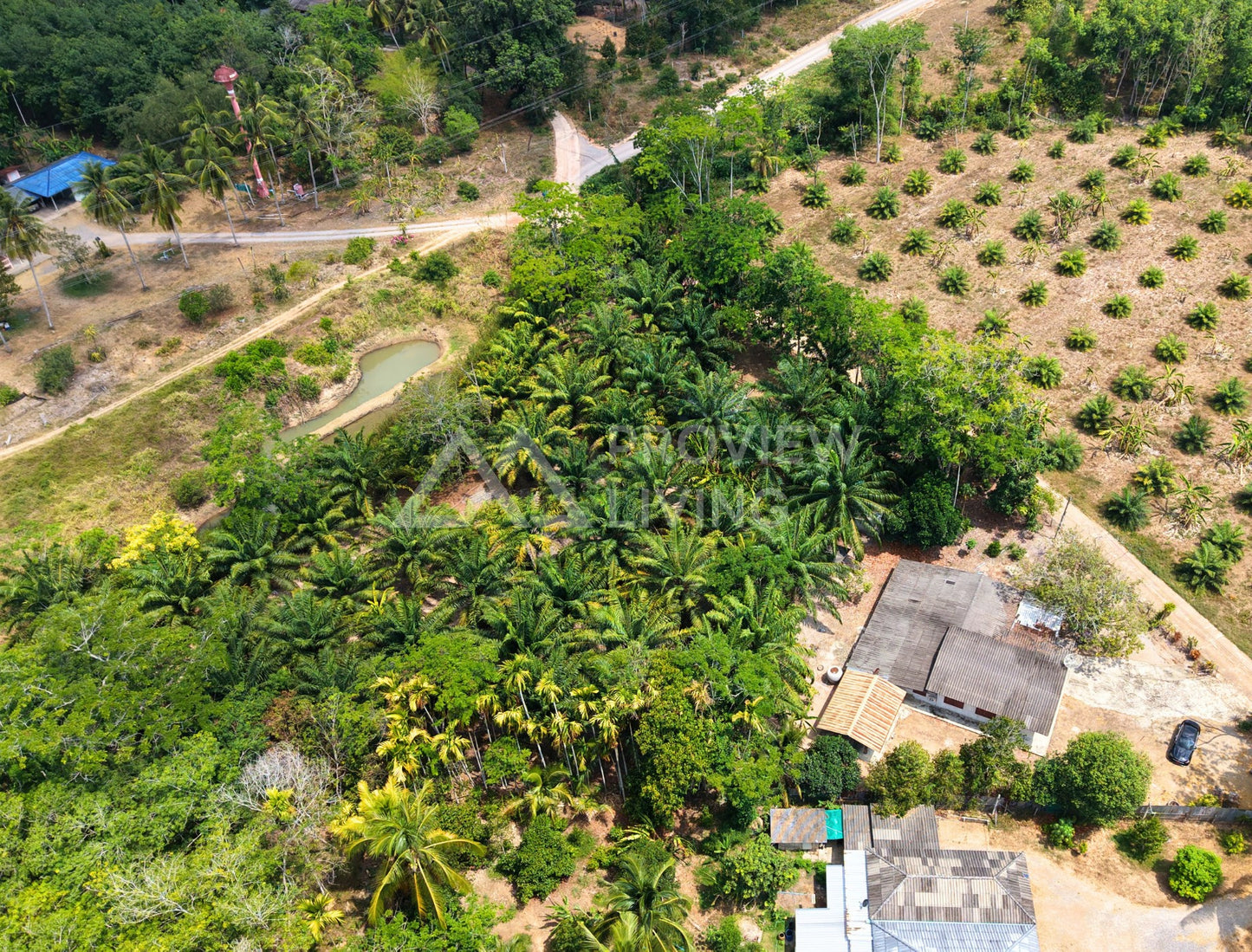 ขายที่ดินพร้อมสิ่งปลูกสร้าง ใกล้สนามบินสุราษฎร์ธานี @มะลวน ใกล้ราคา 2.XX ลบ