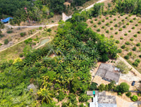 [SOLD] Land with building near Surat Thani Airport, Maluan, Phunphin, 3 beds, 2 baths
