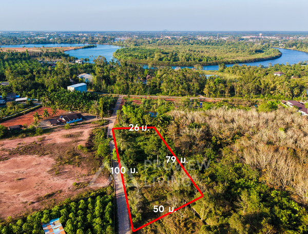 Land for sale in Surat Thani, 2 rai, 100 meters frontage, beautiful plot, easy to plan, suitable for projects or agriculture. Price 3.7 million. Thung Gong, Kanchanadit.