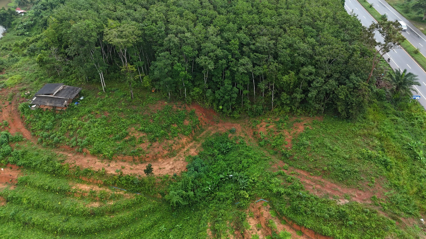 [ขายด่วน] ที่ดินกม 25 3 ไร่ 3 งาน 95.5 ตารางวา