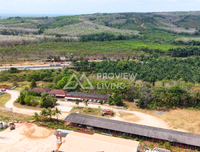 Land for sale on Asia Road, Saweat, Tha Chang, Surat Thani, 19 rai, with office and warehouse, price 4X.XX million.