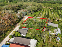 Urgent sale, corner vacant land, total area 1 rai 44 square wah, located in Thung Kong, Kanchanadit, Surat Thani.