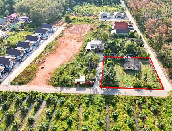 Urgent sale, corner vacant land, total area 1 rai 44 square wah, located in Thung Kong, Kanchanadit, Surat Thani.