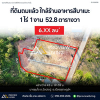 Urgent sale: Vacant land, filled, 1 rai 2 ngan plus. Located in Bang Chum Tho, near Tsubame Sushi and Central Surat Thani.