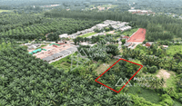 Urgent sale: Land in Surat Thani, 1 rai, in Soi Tha Rong Chang 23, 700 meters from Wat Somwang.
