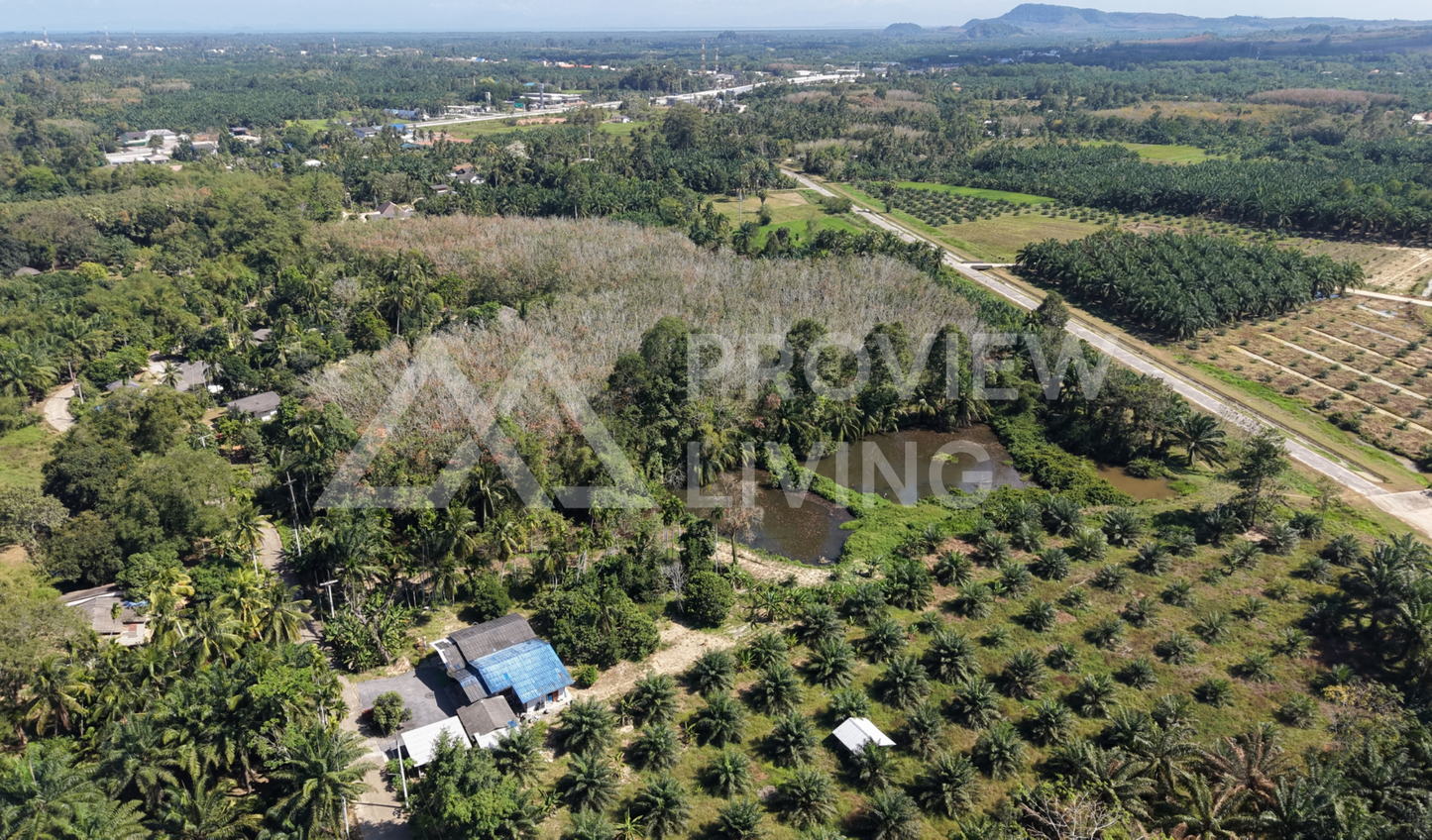 [ขายด่วน] ที่ดินติดคลองคลองไชยา 3 ไร่ 3 งาน 81.0 ตารางวา ราคา 780,000 เท่านั้น