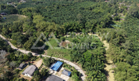 ขายที่ดินสุราษฎร์ธานี ไชยา 3 ไร่กว่า ราคาไร่ละ 420,000 บาท แปลงใหญ่ราคาถูก