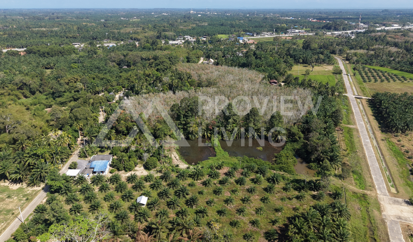 [ขายด่วน] ที่ดินติดคลองคลองไชยา 3 ไร่ 3 งาน 81.0 ตารางวา ราคา 780,000 เท่านั้น