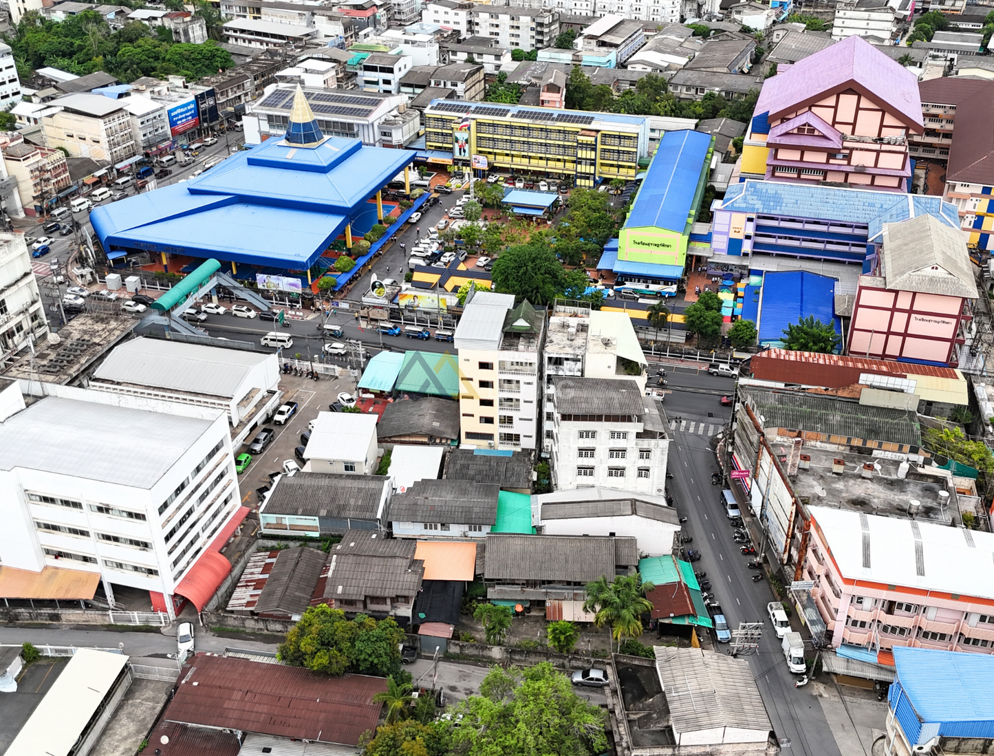 [ขายด่วน] ที่ดินพร้อมสิ่งปลูกสร้าง 230 ตร.ว. กลางเมืองสุราษฎร์ธานี หลังไปรษณีย์ ใกล้ รร.สตรีสุราษฎร์ ติดถนน 2 ด้าน (ถนนเปรมจิตรประชา และถนนวัดธรรมบูชา)