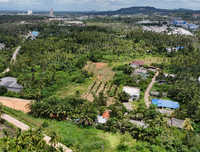 [FOR SALE] BS-02 Land + Single-story house, 274.6 rai, Soi Charoen Uthit (near Tsubame), near Suratthani Hospital, Central Plaza, community area