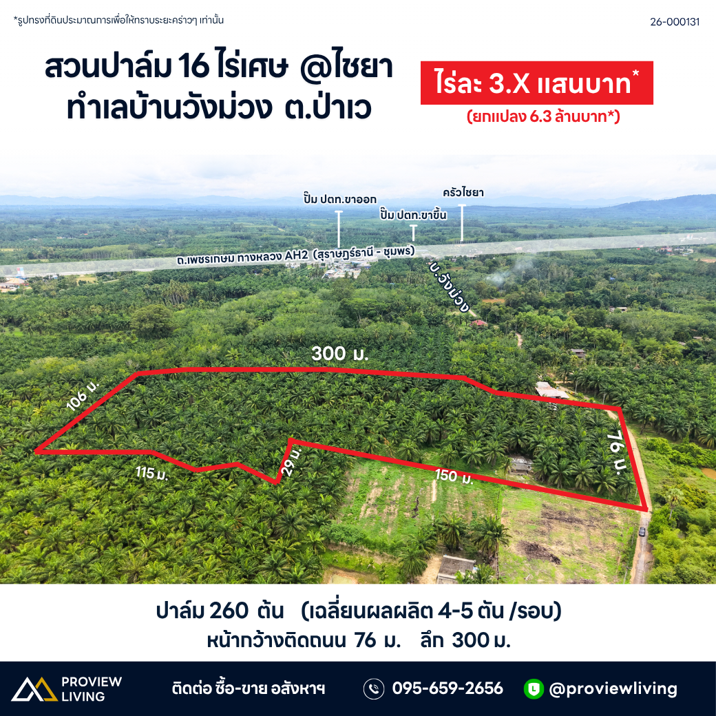 ขายสวนปาล์ม 16 ไร่เศษ ทำเลบ้านวังม่วง ป่าเว ไชยา สุราษฎร์ธานี 3.XX แสนบาท / ไร่